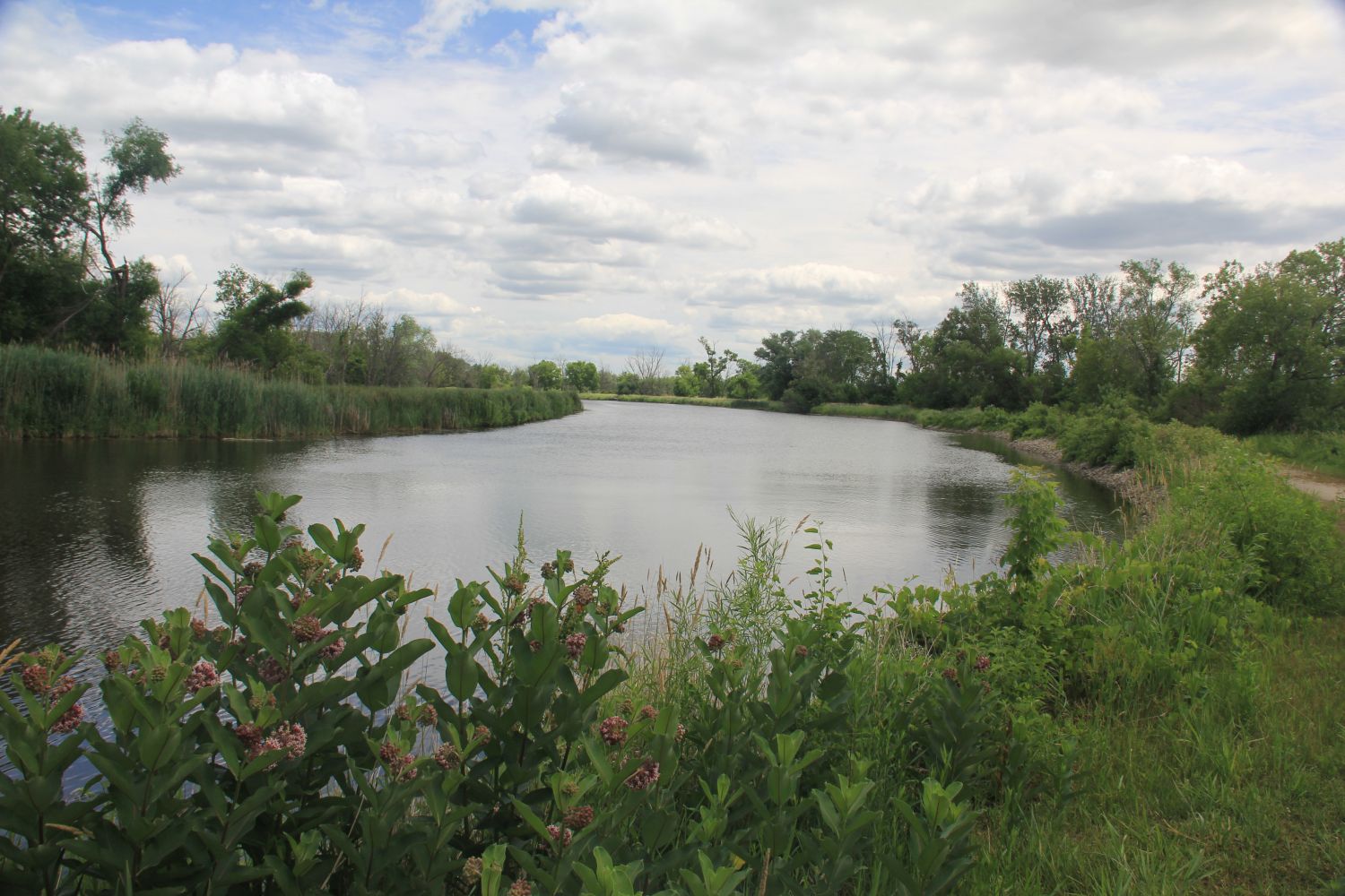 GoldFinch Trail 